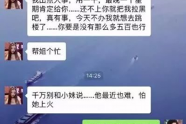 邵阳县邵阳县的要账公司在催收过程中的策略和技巧有哪些？